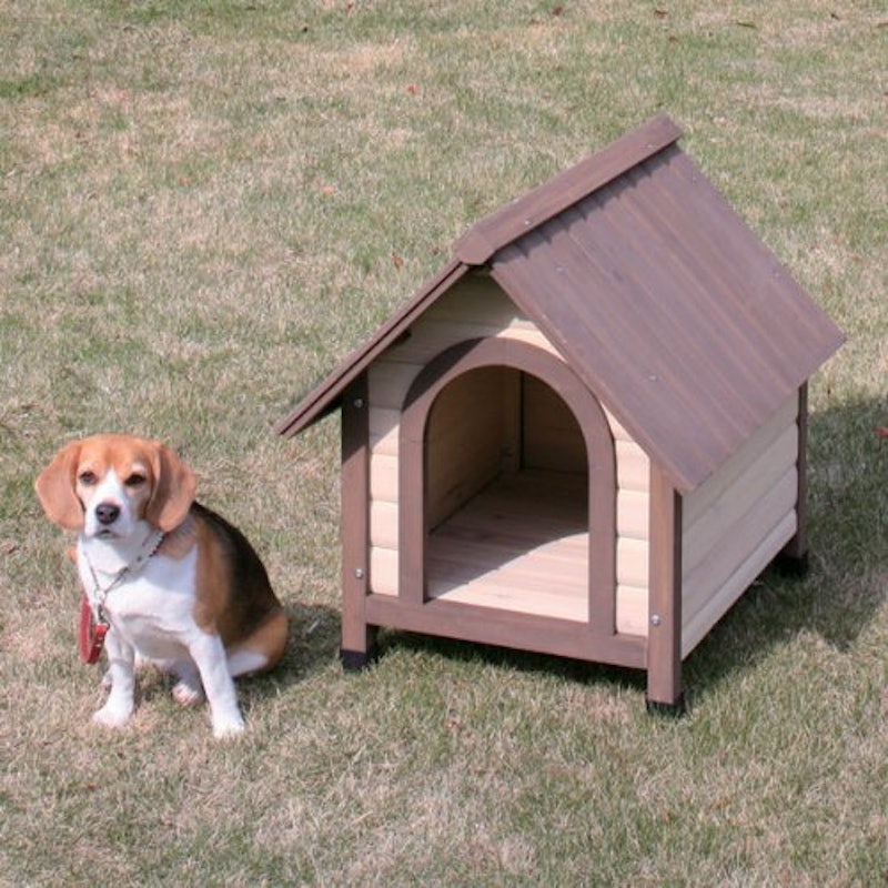 ウッディ犬舎 2