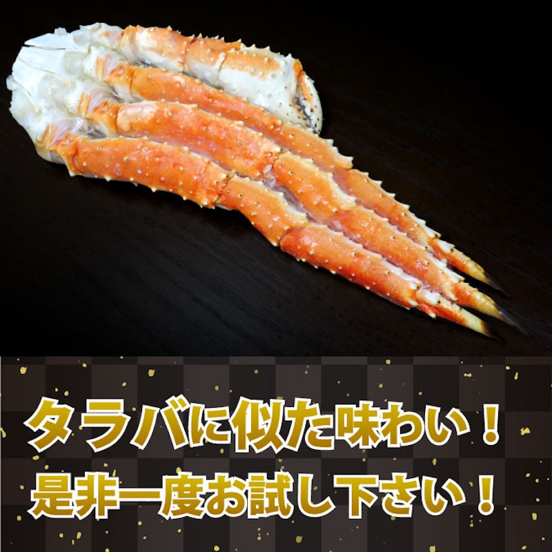 イバラガニ 2
