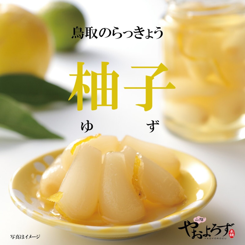 鳥取のらっきょう 5