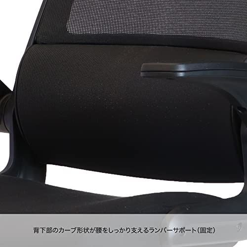 サリダCMチェア 10