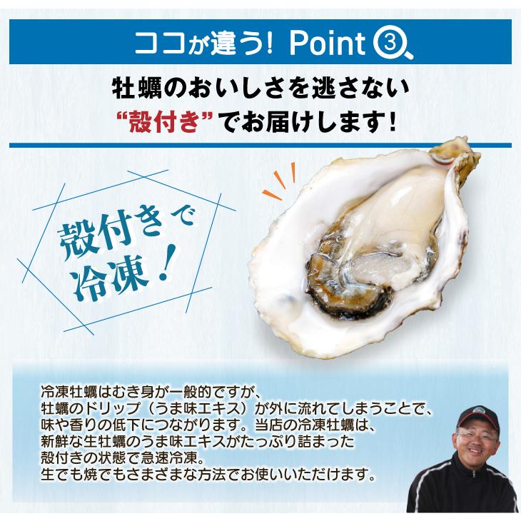  冷凍 殻付き真牡蠣生食可 6