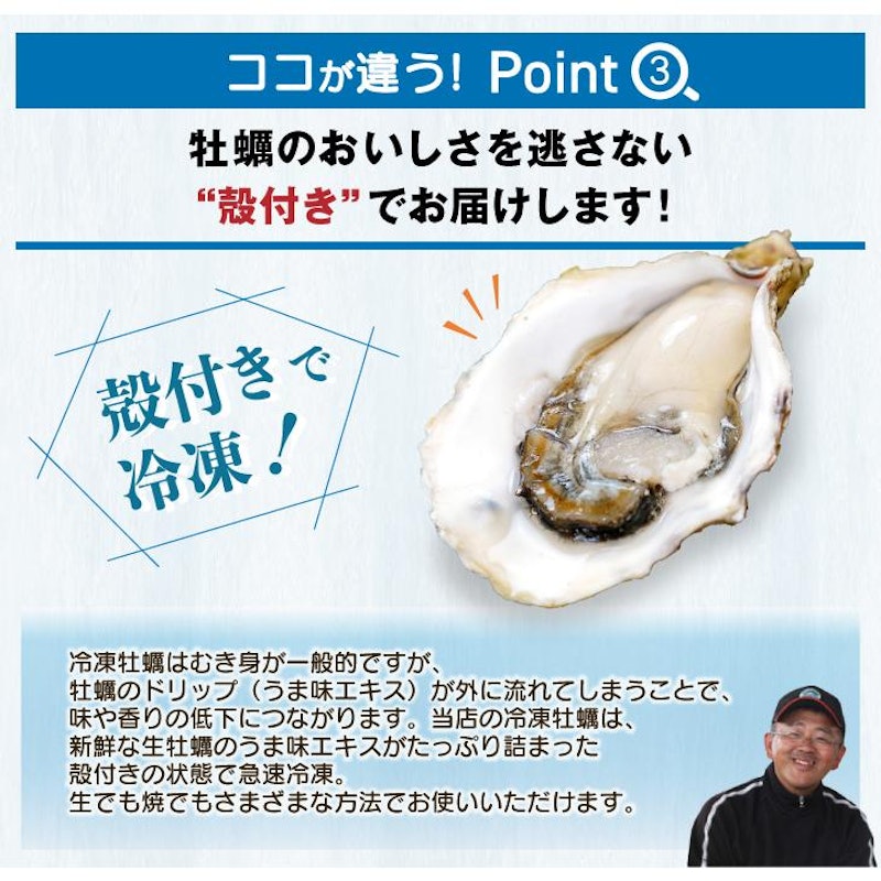 冷凍 殻付き真牡蠣生食可 6