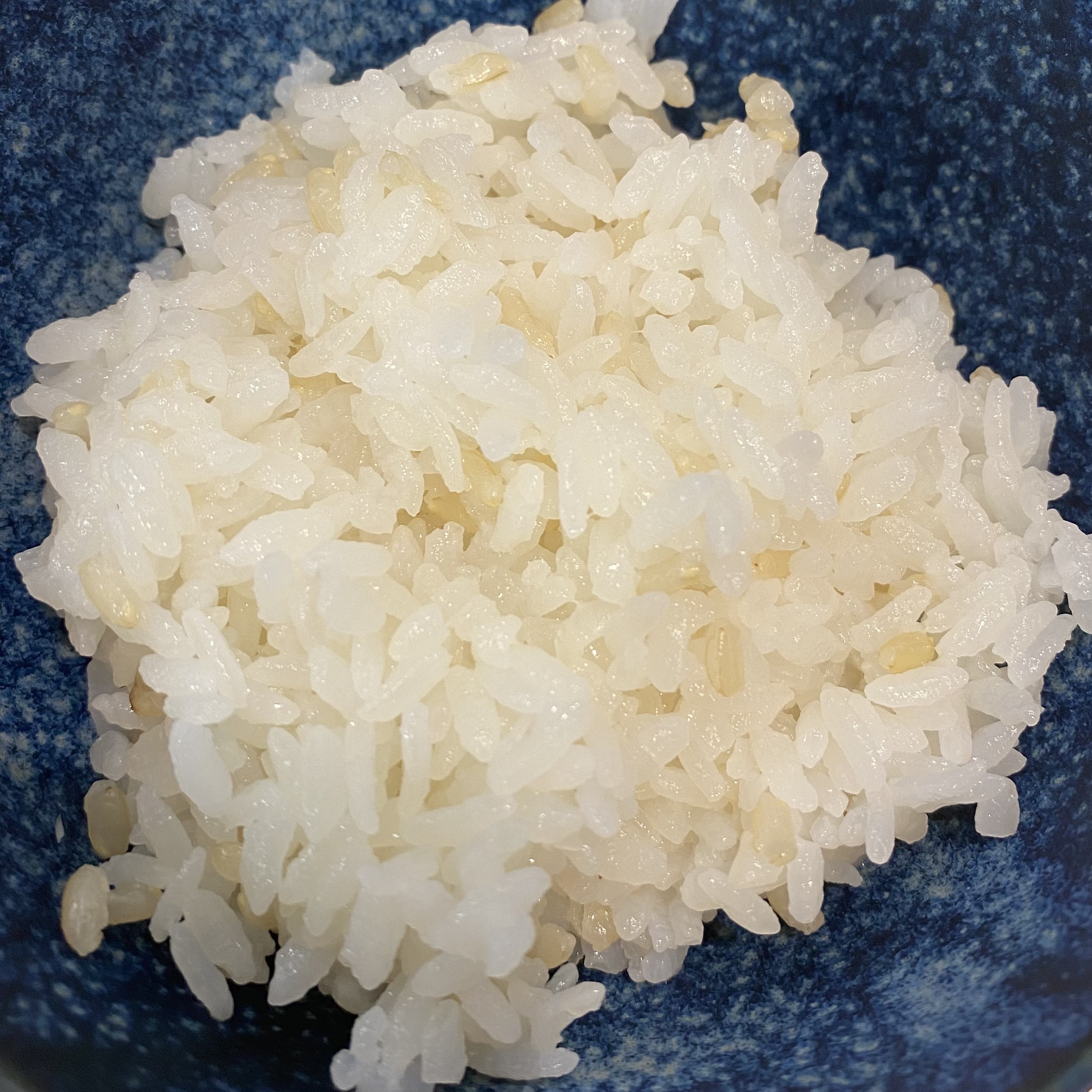 熊本産 農薬未使用 発芽玄米 4