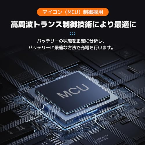 LiFePO4 バッテリー充電器 4