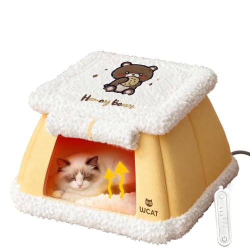  猫こたつ  1