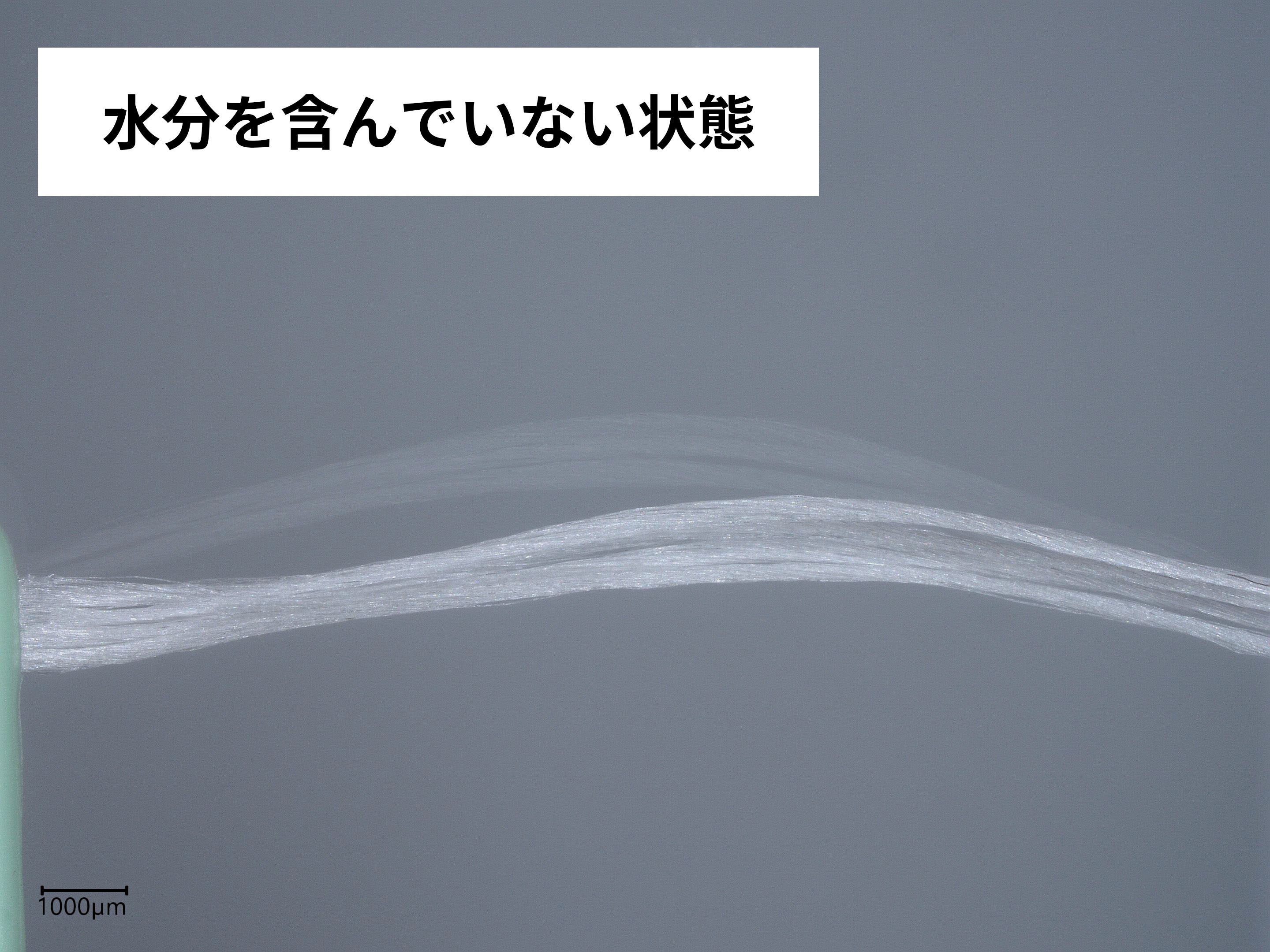 糸ようじ 8