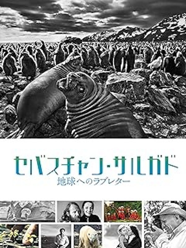 セバスチャン・サルガド 地球へのラブレター 1