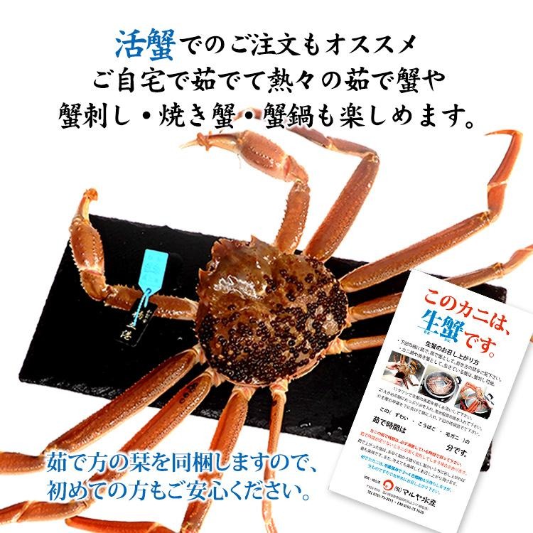 加能かに 3
