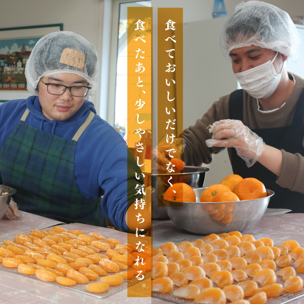 国産無添加 ドライみかん 7