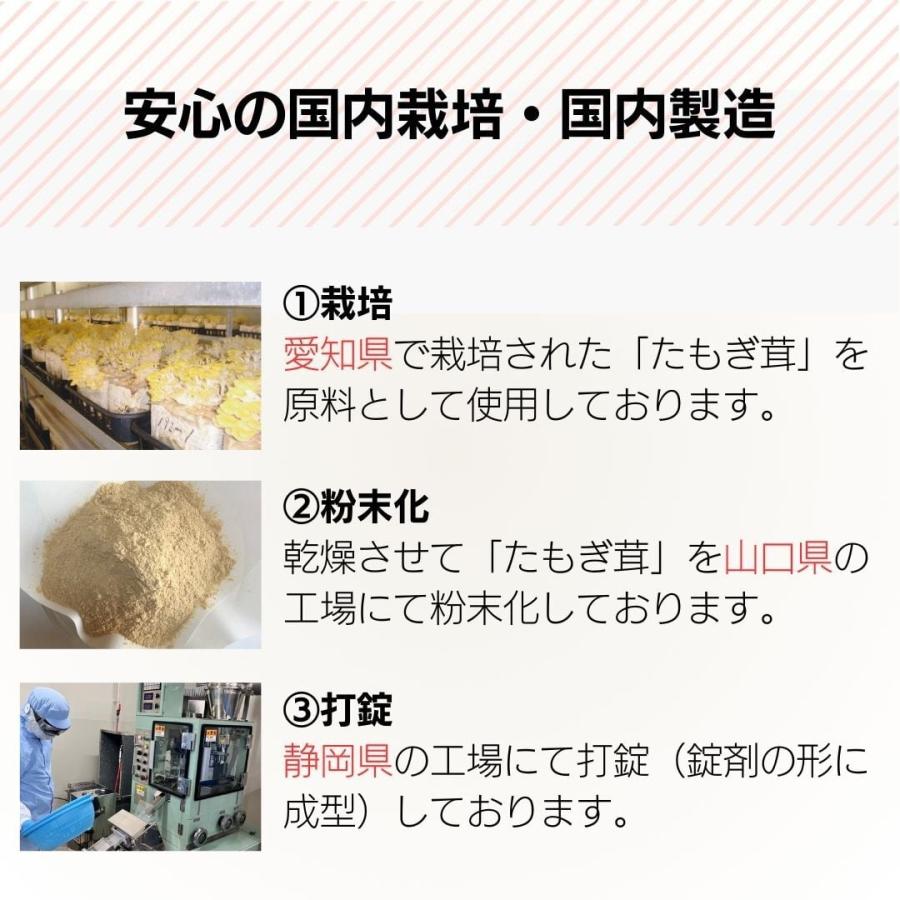 たもぎ美人 5