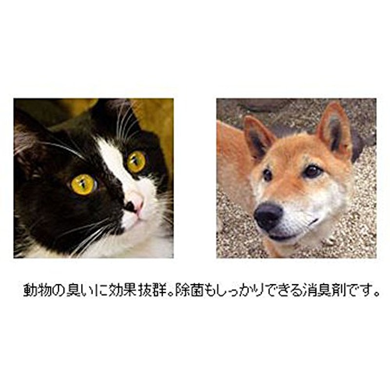 強力ペット消臭剤 P-1 除菌+ 2