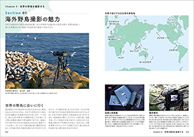野鳥写真の教科書 6