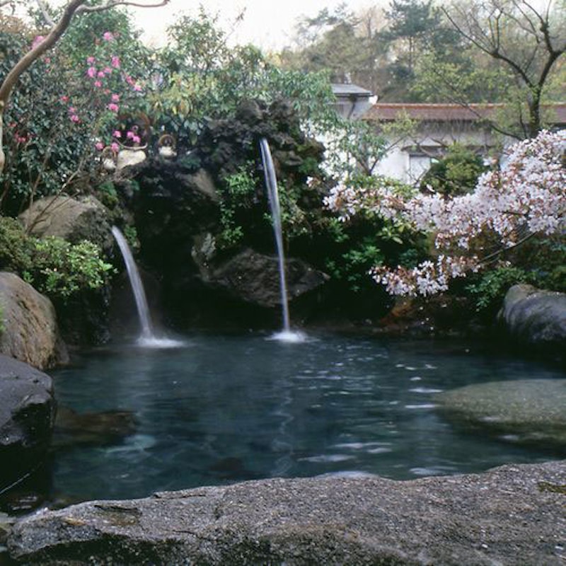 厚木飯山温泉 元湯旅館 1