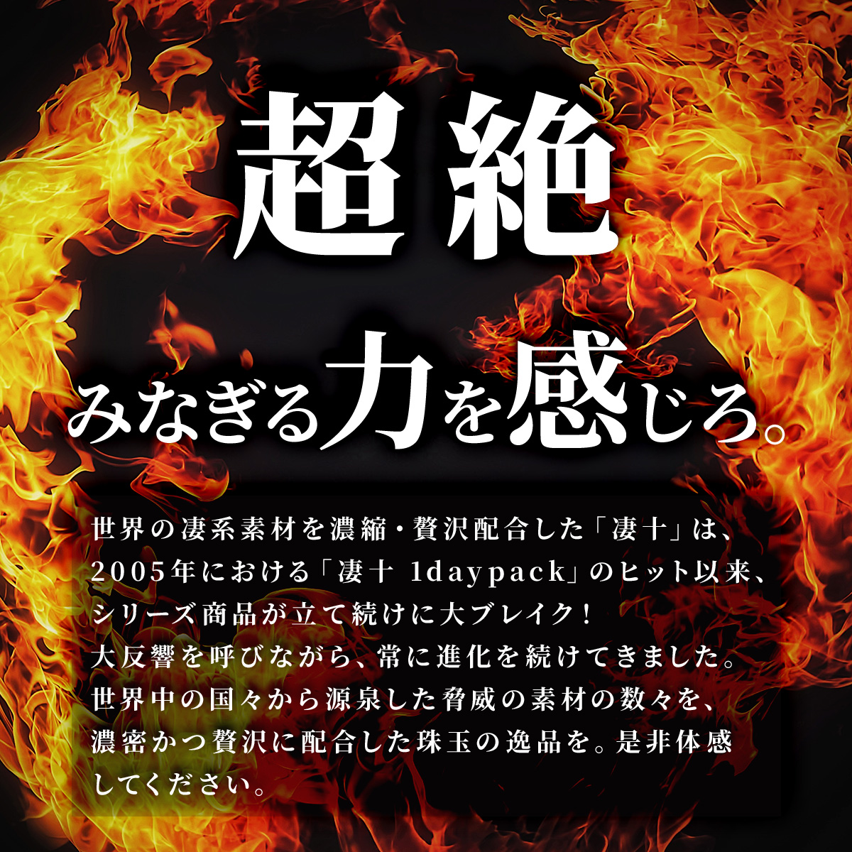 宝仙堂の凄十 エキスパートプレミアム  3