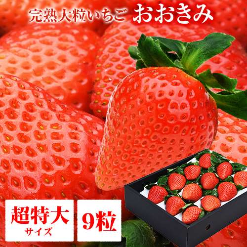 宮崎産高級いちご「おおきみ」超特大9粒 1