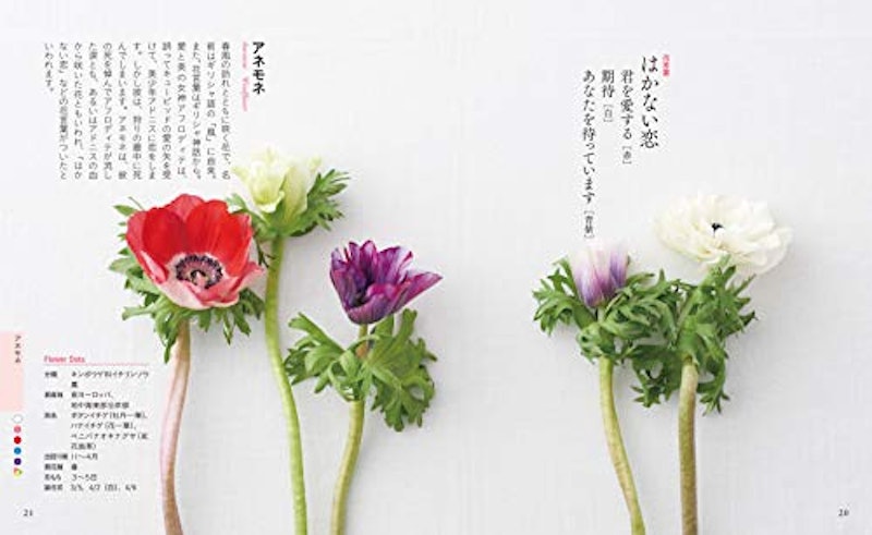 ちいさな花言葉・花図鑑 3