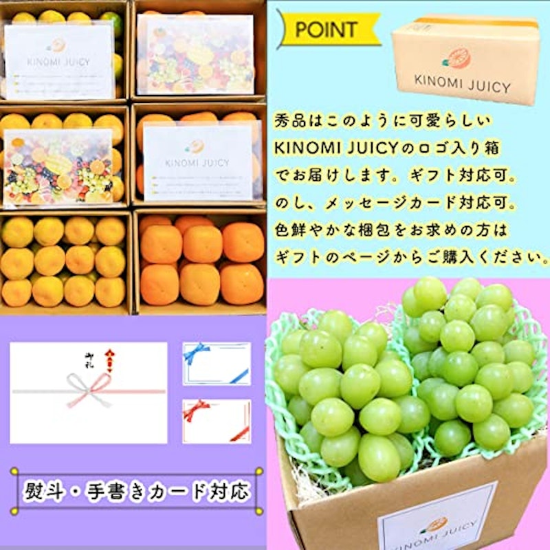 フルーツセット 6