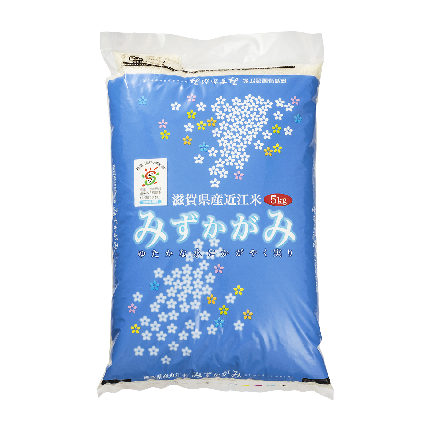 2024年産　滋賀近江米コシヒカリ　10kg 2024年産 滋賀近江米コシヒカリ 10kg