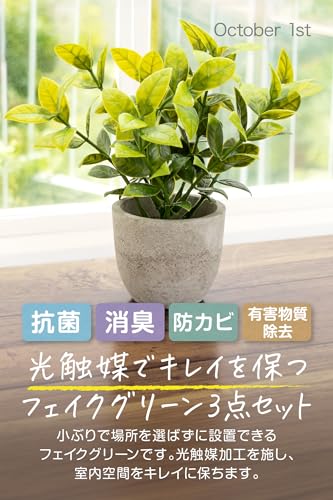 フェイクグリーン 卓上用 3