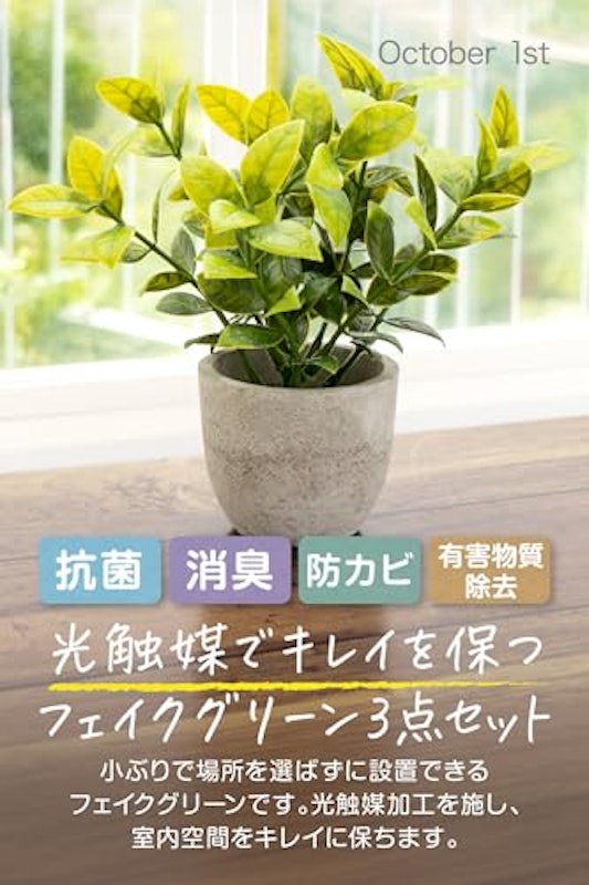 フェイクグリーン 卓上用 3