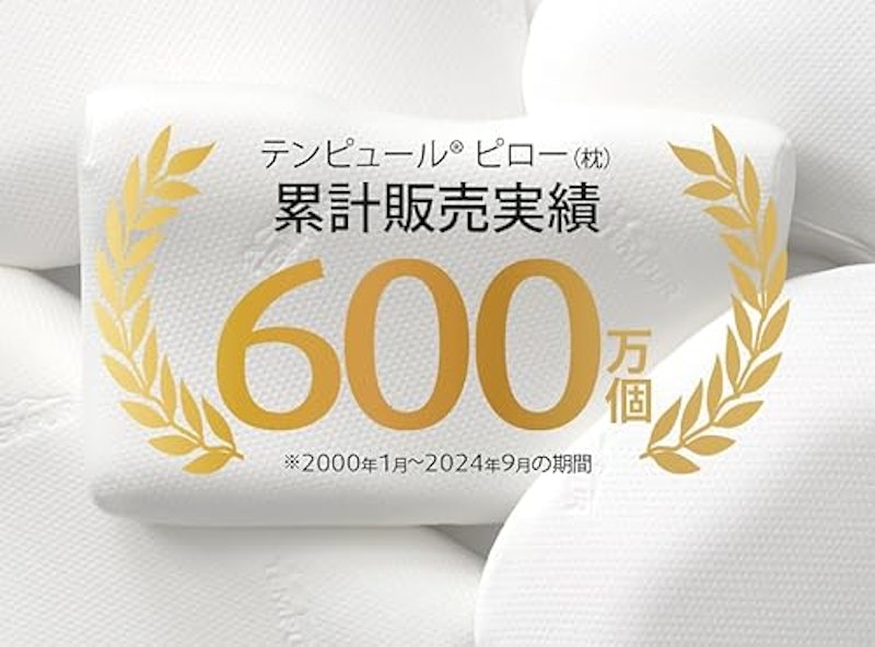 イーズ サポートピロー 2