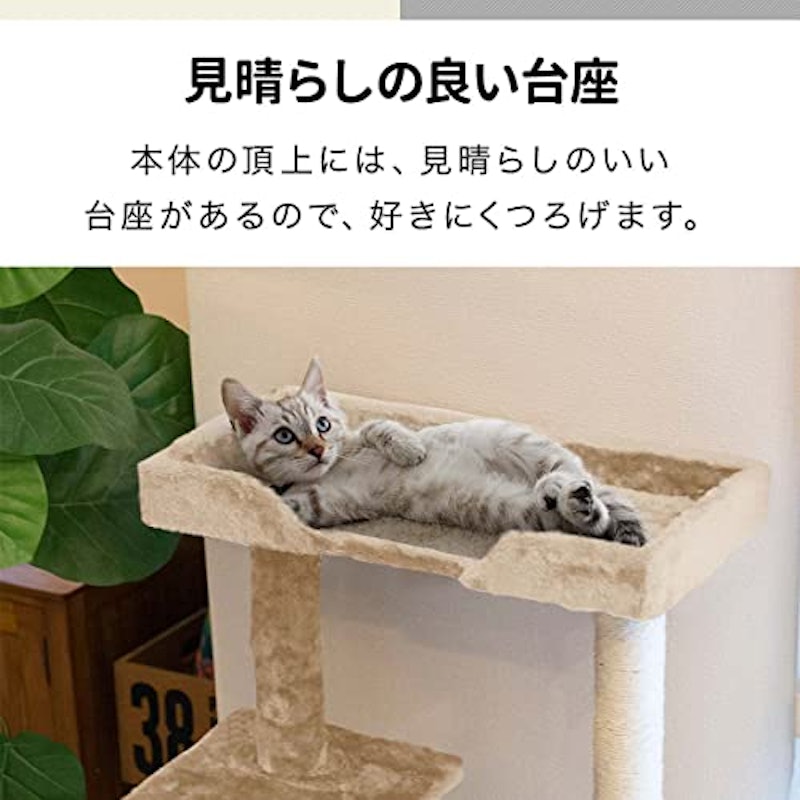 キャットタワー 5