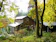 null cottage 樹樹 1