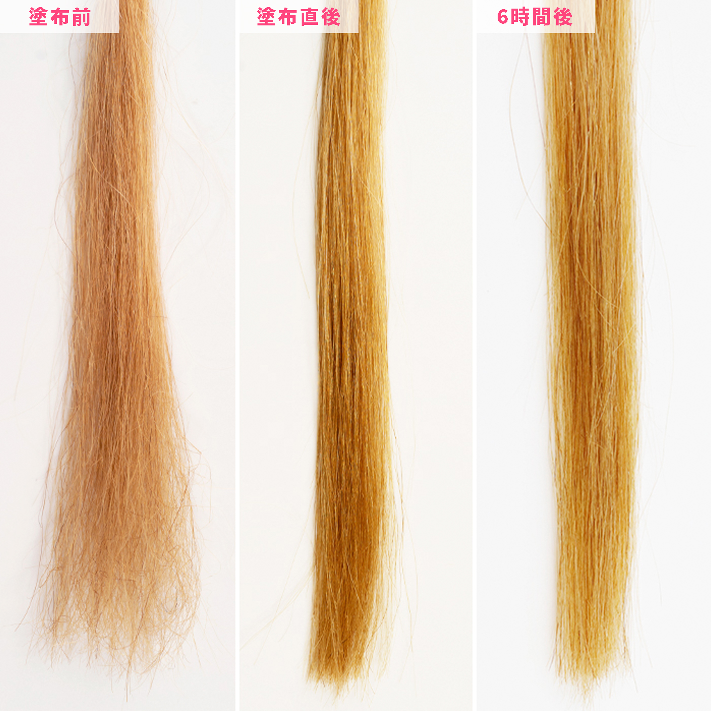 十六油 アウトバストリートメントオイルを全商品と比較 口コミや評判を実際に使ってレビューしました Mybest