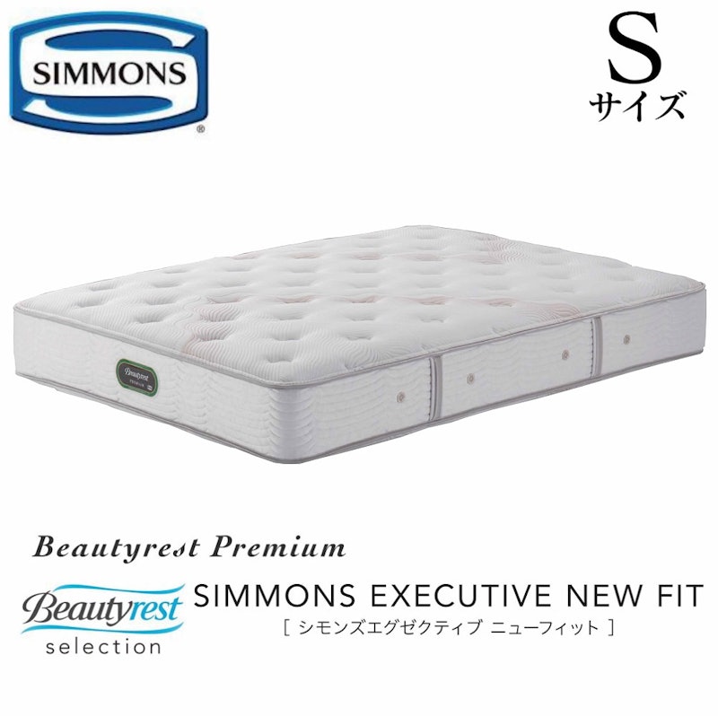 レギュラー 1