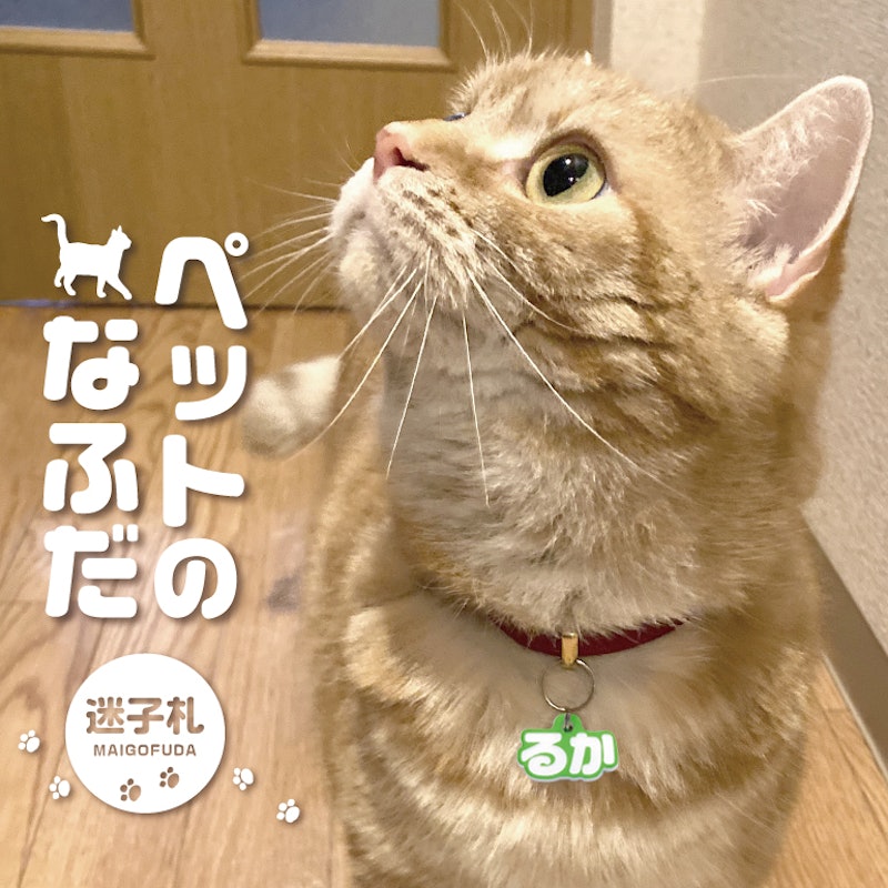 21年 犬用迷子札のおすすめ人気ランキング15選 Mybest 21年 犬用迷子札のおすすめ人気ランキング15選 Mybest