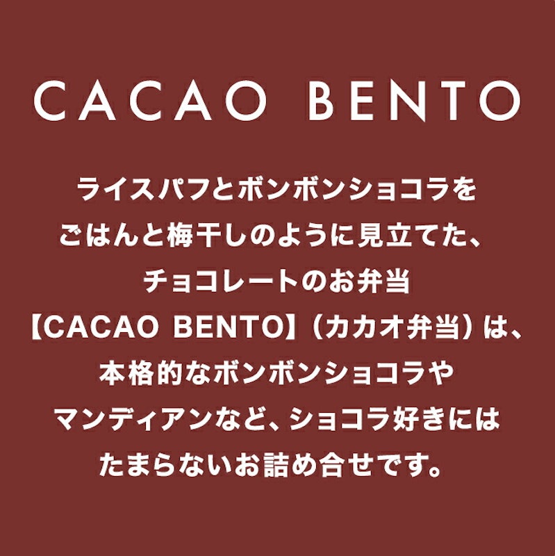 カカオ弁当 2
