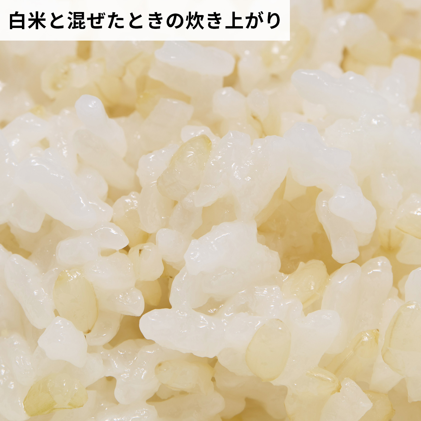 発芽玄米 7