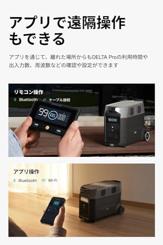  DELTA Pro 2