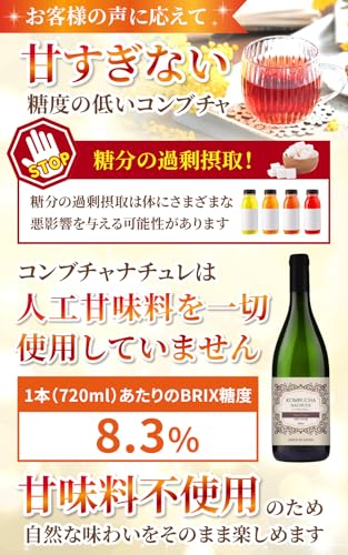 【医師監修】コンブチャ  3
