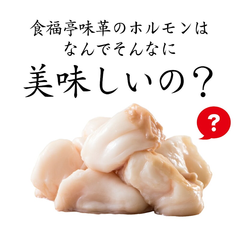ホルモン焼肉食べ比べBセット 5