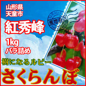 さくらんぼ 1