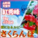 花樹有 さくらんぼ 1