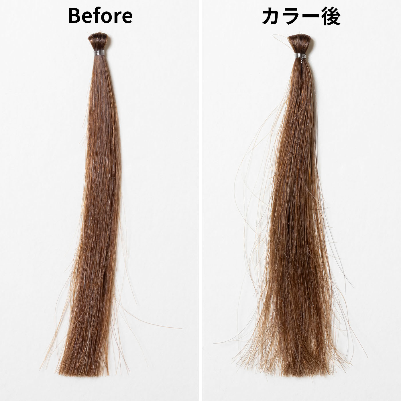 ホイップヘアカラー アッシュドロップ 3