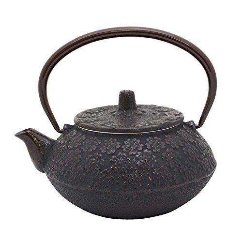 鉄瓶 ホーローなし 急須 おしゃれ 鉄分補給 南部鉄器の急須の