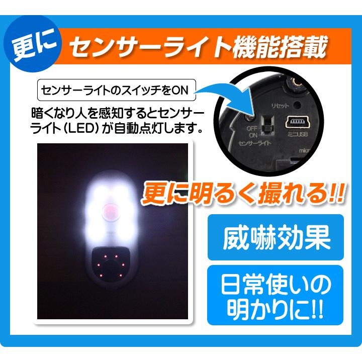 監視カメラ 13