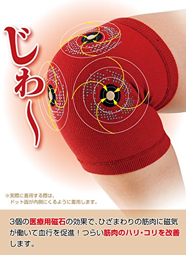 マグネッカーDX ひざ用 2