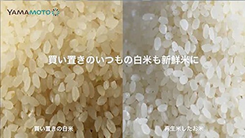 Rice Cleaner Bisen 5