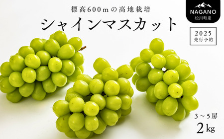 シャインマスカット 約2kg 1
