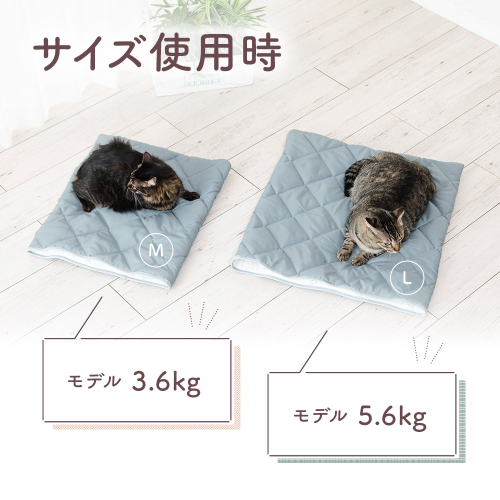 ねこのおふとん 4