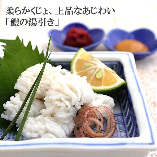 活じめ鱧 しゃぶしゃぶセット 2