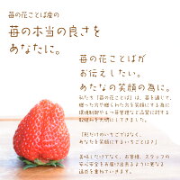 越後姫 4