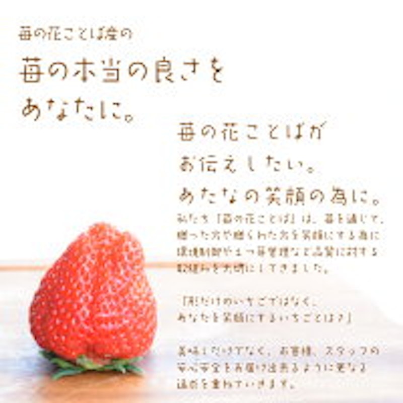 越後姫 4