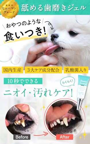 デンタアニマル 2
