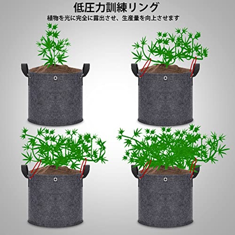 プランター 3