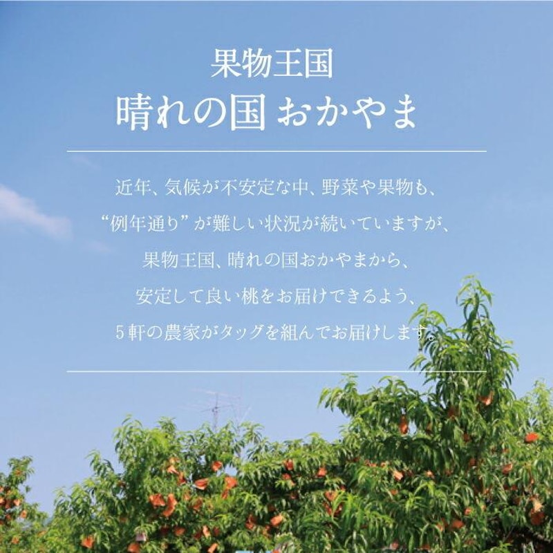 白桃 4
